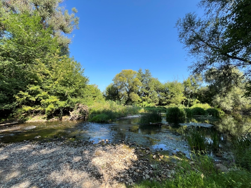 塞尔维亚乐鱼官方网站-乐鱼leyu(中国)助力社区“母亲河”生机重现