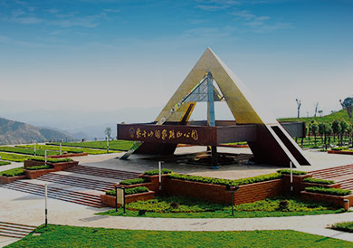 政策与管理制度